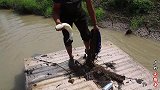 野河撒鱼过中秋，水面穿出大浪，渔夫小猛哥一网命中，真过瘾
