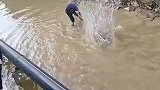 这一幕把人看呆，这抓鱼看着就着急