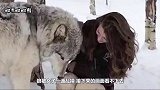 狼被女子一通乱摸，接下来的画面看不下去，镜头拍下全过程