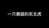 谁说的说东北话的就是东北虎