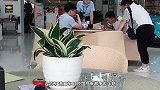 懂车的人买车都选这几款车，开10年不用大修，3款日系车上榜