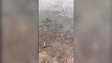 什么鱼能拒绝这样的饵