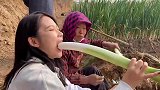 是谁给了山东人自信，说你还没他们家大葱高可是现实又狠狠打脸啊