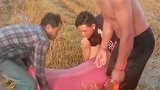 今年大丰收亩产万斤，即使再辛苦，大哥累点心里也是甜蜜的