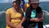 女子在游艇上拍照，被飞鱼“顺走手机”一脸懵
