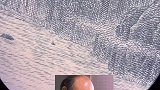 三峡美景放大 三峡  热门