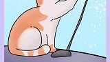看我发现了什么！天然逗猫棒！