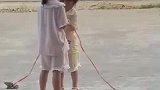 两位小女孩街上“溜牛蛙”逗乐路人