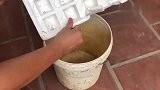 用泡面做诱饵制作捕鼠陷阱，老鼠还没吃到就先掉桶里游泳了