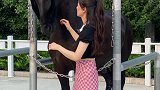 今天给飓风换个造型飓风呀 宠物美容 马