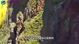 世界最危险的酒店，床安在千米悬崖上，想上厕所怎么办？