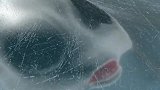 倒霉熊：笨熊游雪山，结果居然发现了超大紫宝石