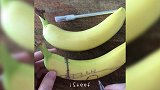 英超-1718赛季-网红香蕉制作视频-专题