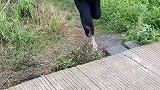 一定要看到最后