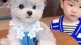 可以给小热狗一个鼓励吗