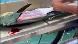 鬼头刀上桌高级餐厅后，全鱼刺身宴可以做的有多震撼