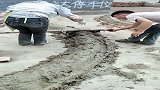 老工人干活，不用操心不用督促，主动干还能干得很好