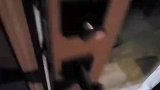 外国网友喂养野生浣熊，没想到后来全部变胖了