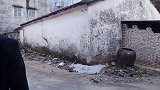 爆笑广西老表：若不是身无分文，谁愿孤身一人！
