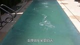土豪家的隐形泳池，出现的一瞬间感慨，有钱就是好！
