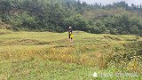 小伙水库钓鱼，大货连连上，与大鱼“搏斗”中突然断线，差点摔死