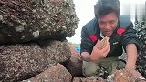 海货被大浪拍上岸搁浅，猫眼螺的肉用来清蒸或烧烤都好吃
