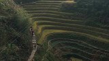 上山看梯田