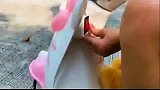 趣味启蒙，姐姐帮着妹妹拉车