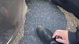 大叔下公交车后被私家车压到损失一只鞋底，这个多少也有点技术