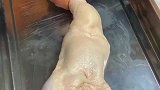 给鸭子打气，谁知道这是为什么呀