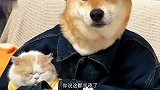 下次不能来了，这得技师太狗了