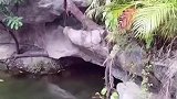 高手在民间，一把叉子直接捕获80斤大鱼