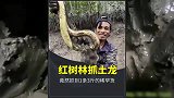 渔民在红树林赶海，挖到一条3斤的土龙，这下赚大了！