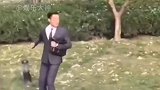 胡歌走错片场，哈哈哈这反映太真实了