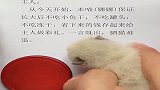 猫咪：我家主人确定是人吗刚出生就让我干这事！