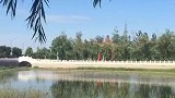 蝉的一生就是在演奏音乐。在南戴河蝉的美妙乐声此起彼伏
