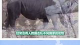 安检员的四个疯狂发现，喜欢就点个双击呗！