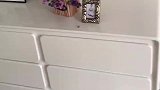 女子买木板说是实木颗粒板，结果拿来是密度板