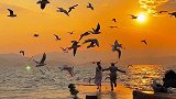 生活比较匆忙，容易错过日出和夕阳