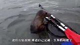 男子正在海上自拍，忽然感觉身后不对，扭头一看吓出一身冷汗