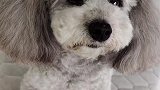 出去一会儿家里有香水味