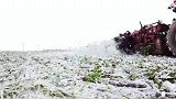 大雪天里抢收甜菜，场面美丽又冻人