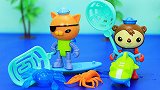 海底小纵队水上玩具：呱唧猫和谢灵通潜水抓大龙虾