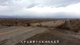 几乎占据整个北美洲的风滚草，为什么来到中国后却不见踪影？