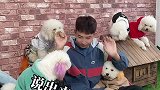 萌宠《钢铁直男的日常操作》