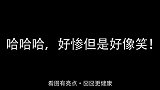 说出来你可能不信，这狗子学会了打狗棍法