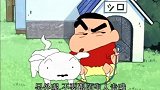 雨后小新带小白去散步，为了躲避小青蛙，小新满身泥巴