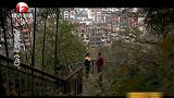 男子日常去打“小报告”，不料发现岳父的秘密，暗中动起坏心思