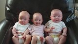 三胞胎坐在爸爸的皮椅上，呆萌的小表情简直萌翻众人！