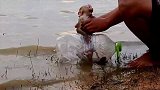 丧心病狂！将小猴子放入漂流瓶中，任其自生自灭！